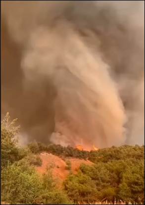 NERO Fire Brief: Sakarya, Gevye Wildfire – Türkiye, July 2025